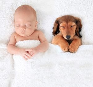 infant and puppy napping under white blanket