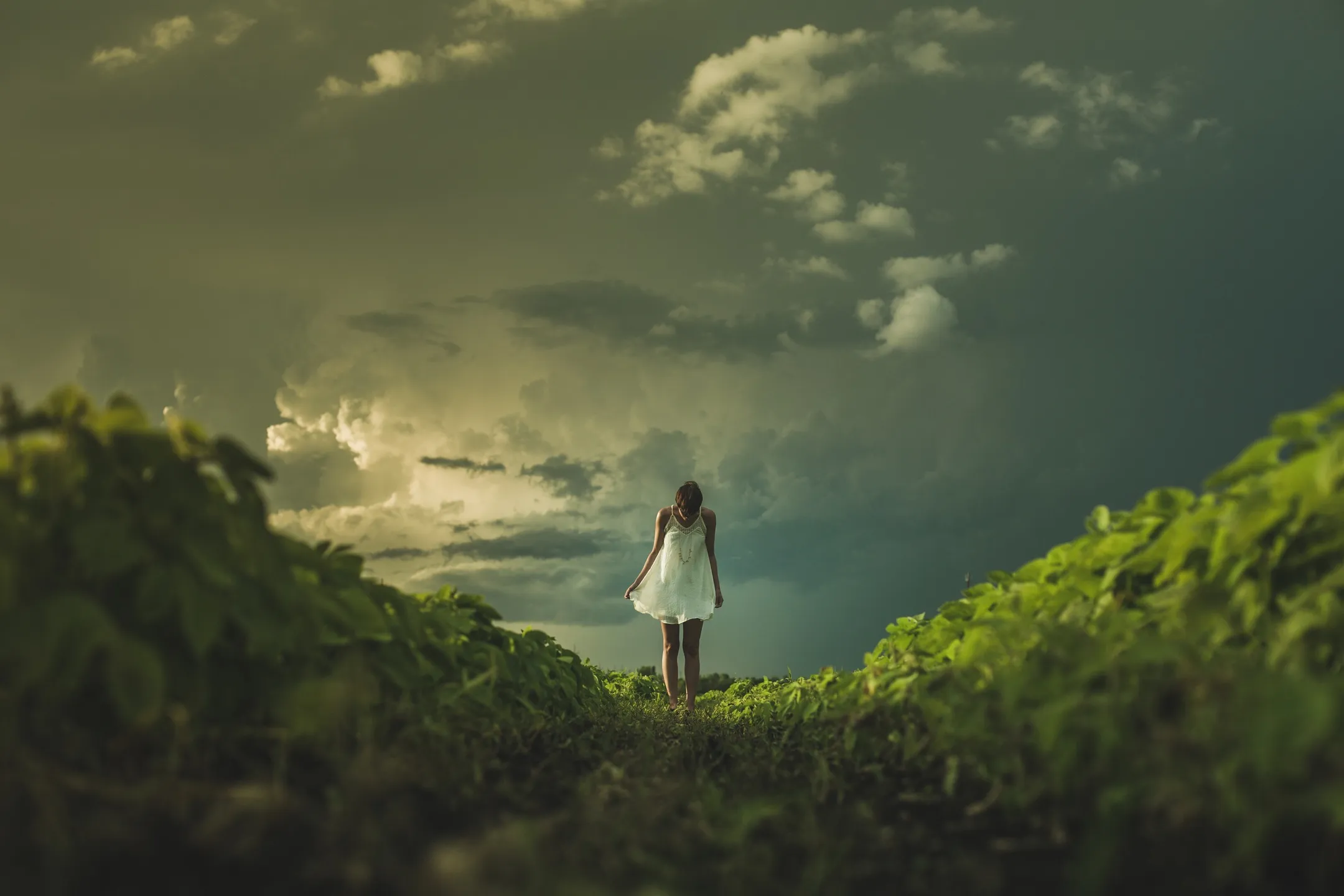 Mindfulness based cognitive therapy at Montgomery counseling group