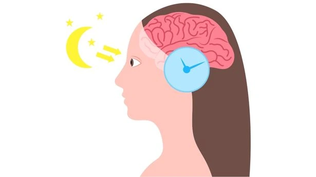 Prioritize Sleep and Movement