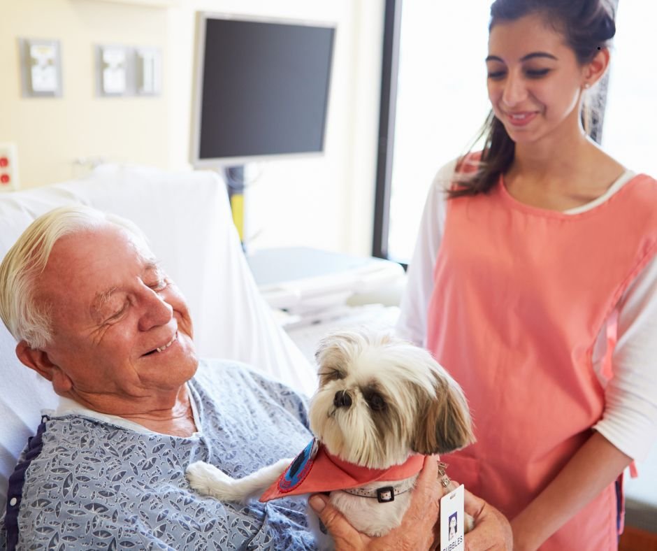 Therapy Benefits for Older Adults